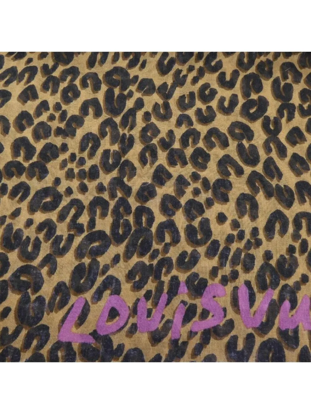 Louis Vuitton brand louis